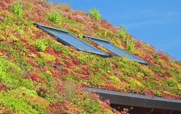 Bedlington living roof systems